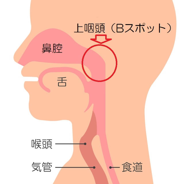 Bスポット治療 よしの耳鼻咽喉科